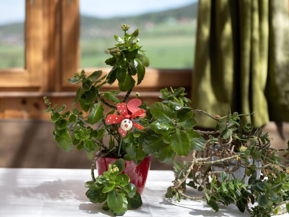 Quaint Holiday Home In Bad K Tzting With Garden Terrace 바트코에츠팅 외부 사진